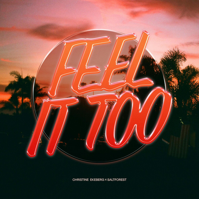 Coveret til «Feel It Too» — låttittelen i glødende rød skrift over en solnedgang med palmer.
